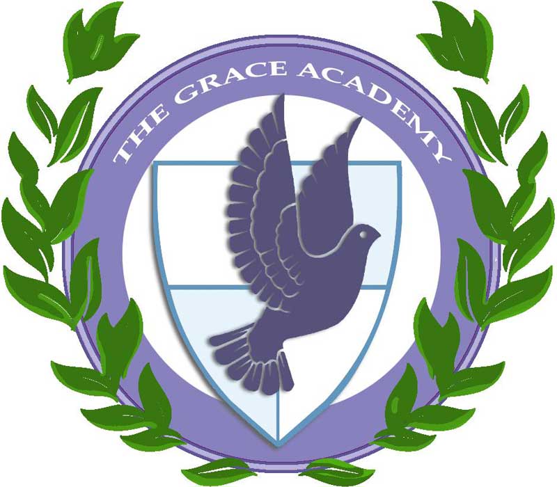 Triggle Academy - Grace Themes